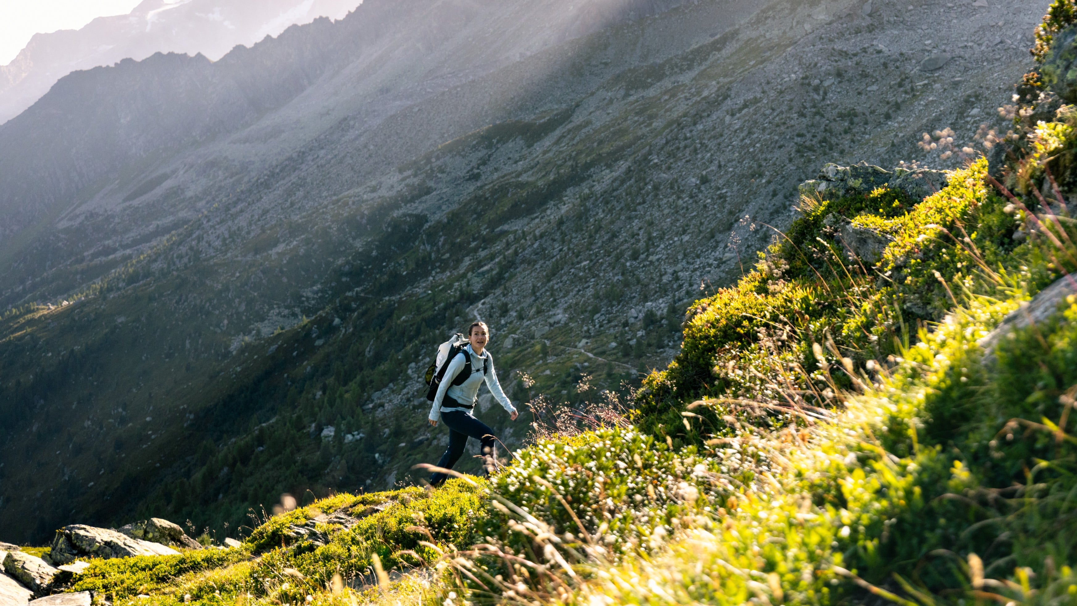 Hiker wearing Mammut gear ascends a lush, green mountain slope with a backpack, sunlight illuminating the rugged terrain.